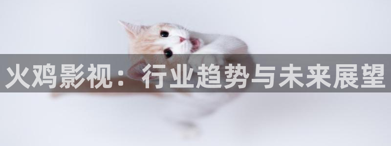 桃花源在线观看高清